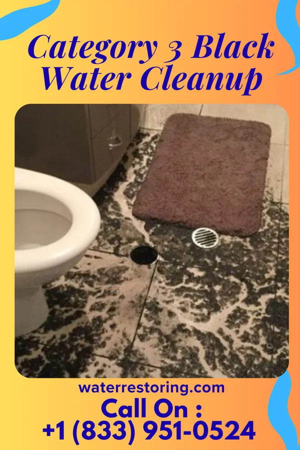 Category 3 Black Water Cleanup in High Hill, MO
